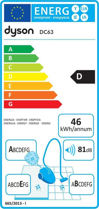 Actual product image Dyson DC63 Allergy