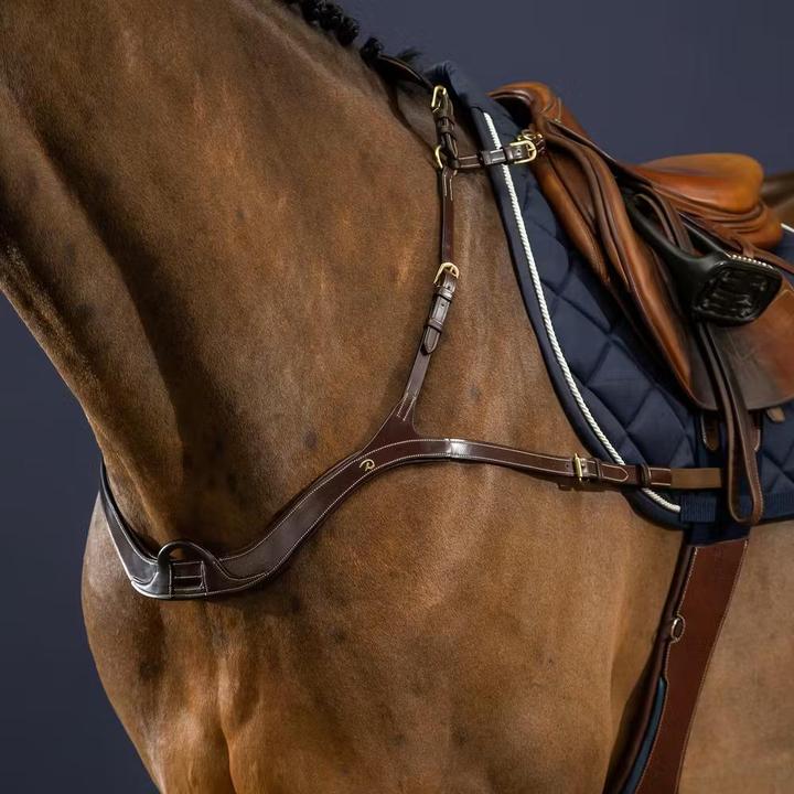 Image du produit Dy'on Collier de chasse anatomique