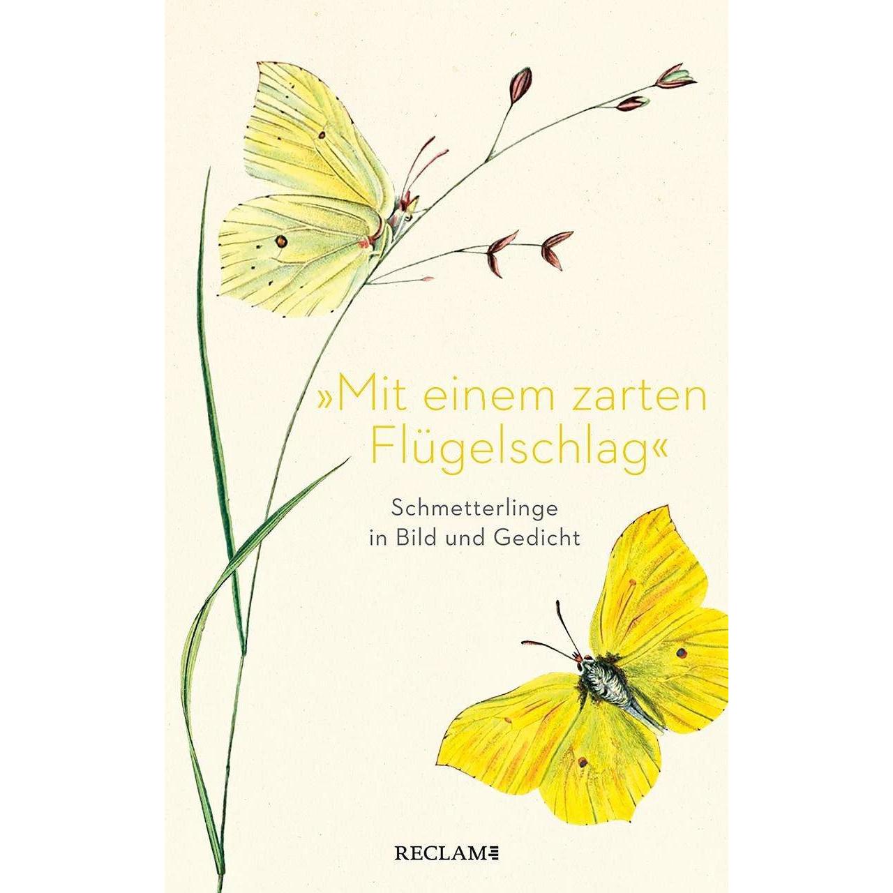 »Mit einem zarten Flügelschlag«, Belletristik von Eberhard Scholing