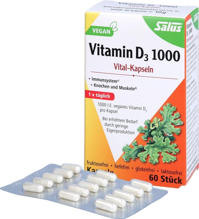 Image du produit Salus Vitamin D3 1000 Vital Kapseln (60 pièce(s), Capsules, 32 g)