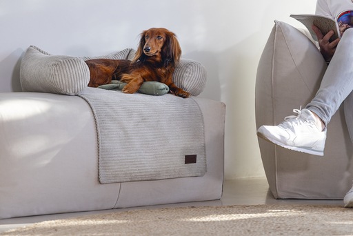 Produktbild Designed by Lotte Ribbed (Hund)