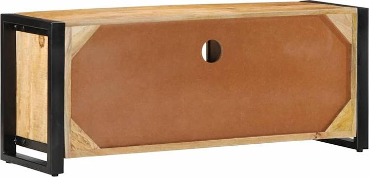 Image du produit vidaXL TV-Schrank (100 x 30 x 40 cm)