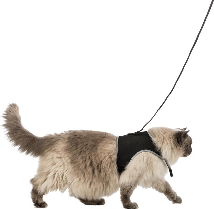 Produktbild Trixie Safer Life (XL, Katze, Hund, Allgemein, Spazieren)