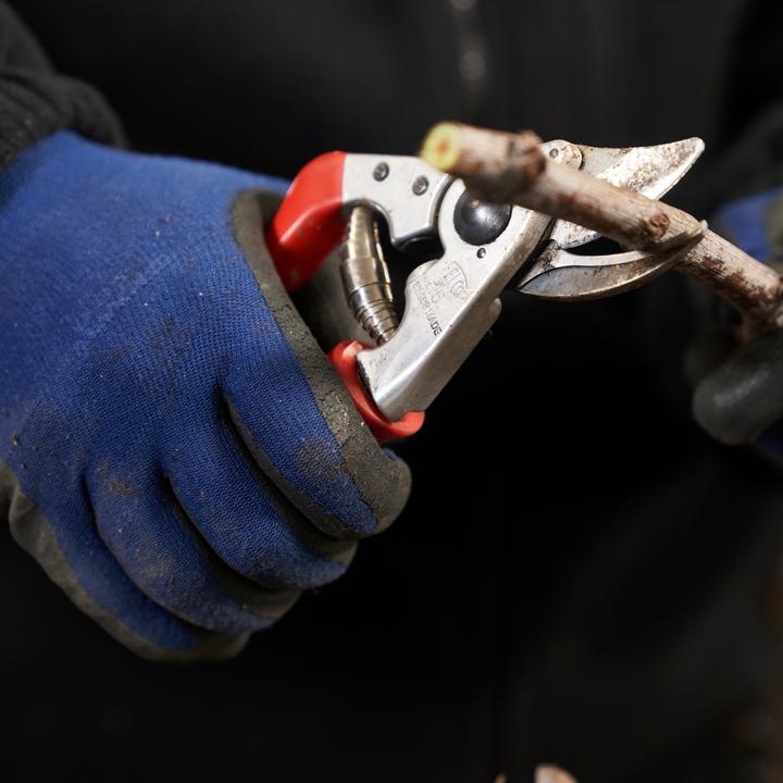 Produktbild Felco 15