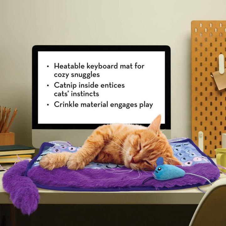 Actual product image KONG Comfort Key Play Mat (Catmint toy)