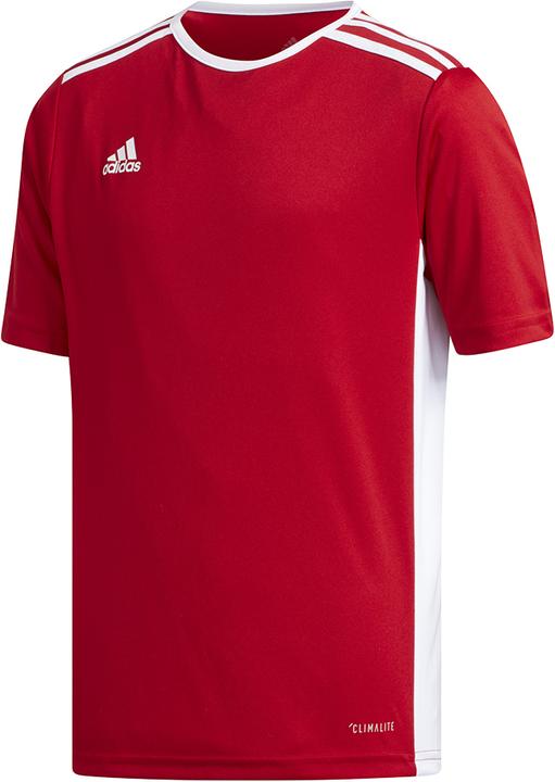 Image du produit adidas Entrada 18 Maillot Enfant (128)