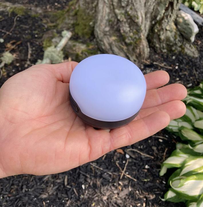 Actual product image Black Diamond Moji