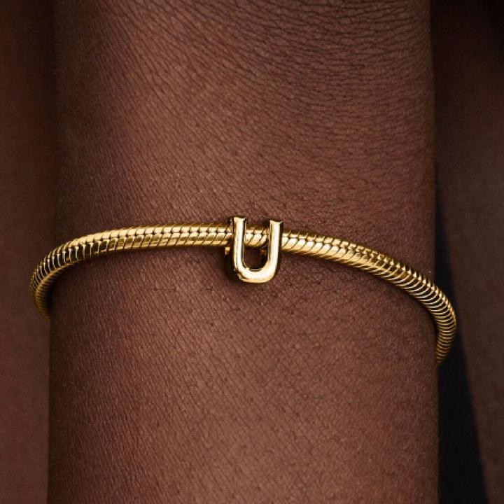 Image du produit Pandora Moments (Métal)