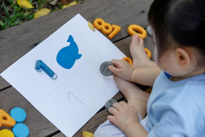 Actual product image Plantoys Numbers and symbols (German, French, Italian, English)