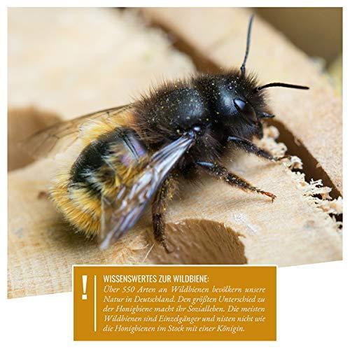 Produktbild Wildtier Herz Bienenhotel (Wildbienen, Biene)