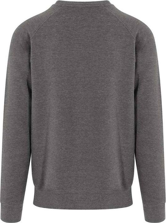 Produktbild Awdis Just Hoods Graduate Pullover Schwer (M)