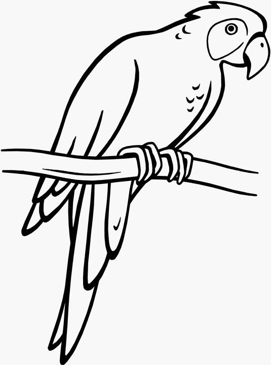 Produktbild Ravensburger Spiel & Spass - Mein allererster Malblock: Tiere