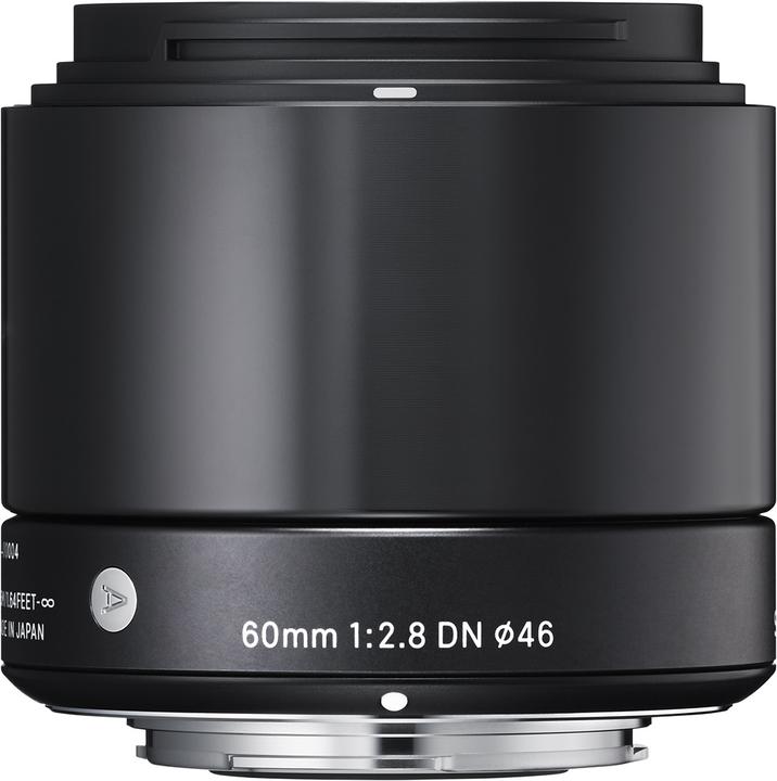 Sigma Art (Sony E, APS-C / DX)