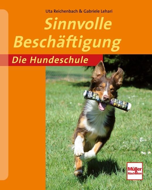 Produktbild Sinnvolle Beschäftigung (Deutsch, Gabriele Lehari, 2013)