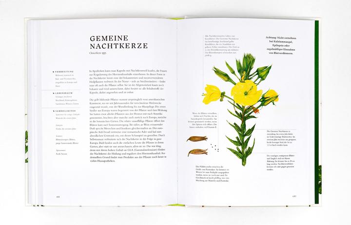 Image du produit Essbare Wildpflanzen (Allemand, Crabe Wiebke, Liz Knight, Rachel Pedder-Smith, 2021)