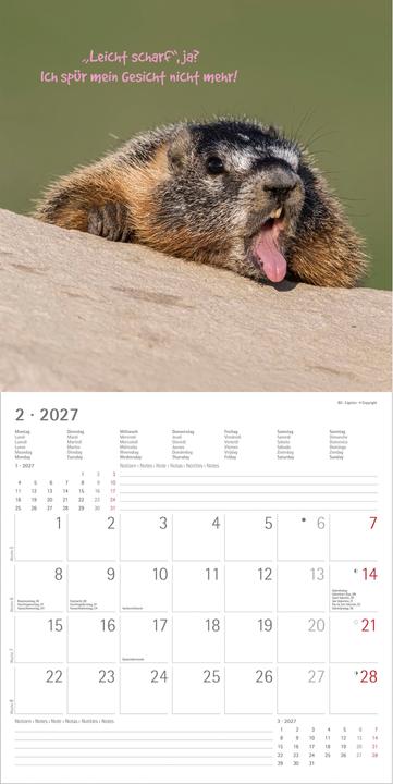 Produktbild Alpha Edition Funny Animals 2027