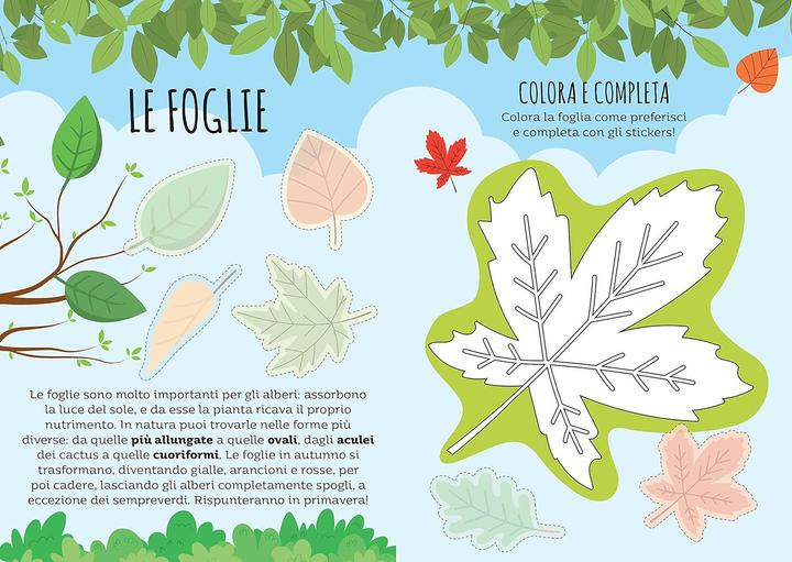 Image du produit Sassi Giochi di carte. Dubito! La nature