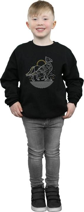 Produktbild Buckbeak Line Art Sweatshirt Jungen (140, 146)
