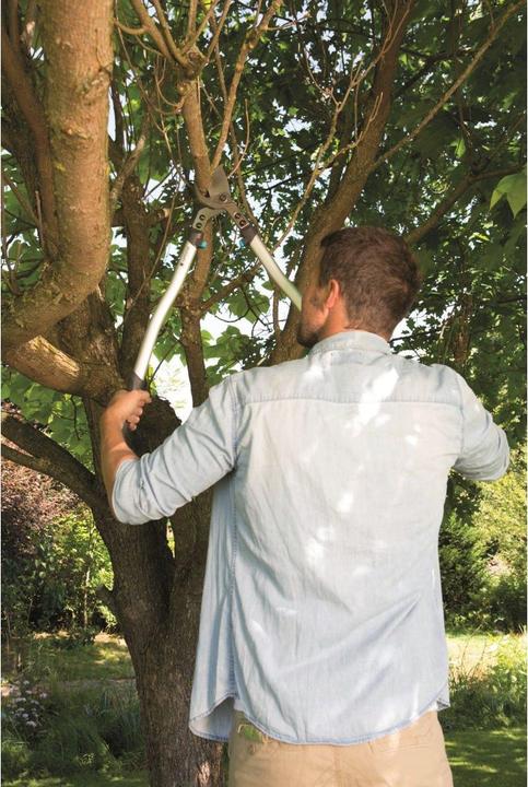 Actual product image Gardena Premium Astschere 700 B