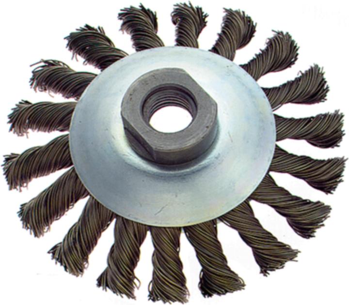 Actual product image Zeintra Cup brushes 308 GFZ