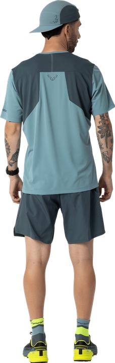 Produktbild Dynafit Alpine Shorts (46, S)