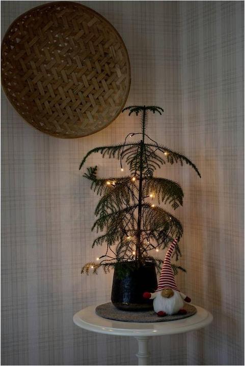 Image du produit Konstsmide Guirlande lumineuse LED avec interrupteur, 30 pièces, à piles (4.35 m)