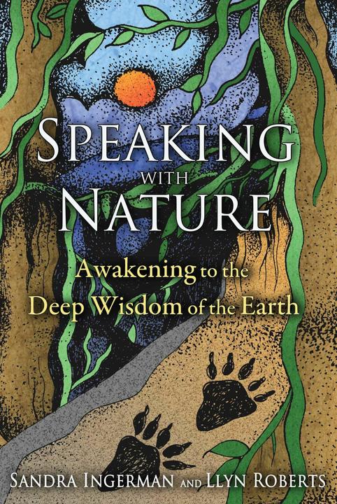 PocketBook Speaking with Nature (Englisch, Llyn Roberts, Sandra Ingerman, 2015)