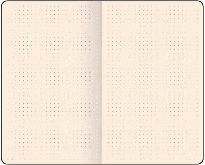 Produktbild Flexbook Adventure (A6, Gepunktet, Weicher Einband)