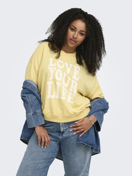Produktbild Only CARSANDY Sweatshirt Sweatshirt (46, 48, M)