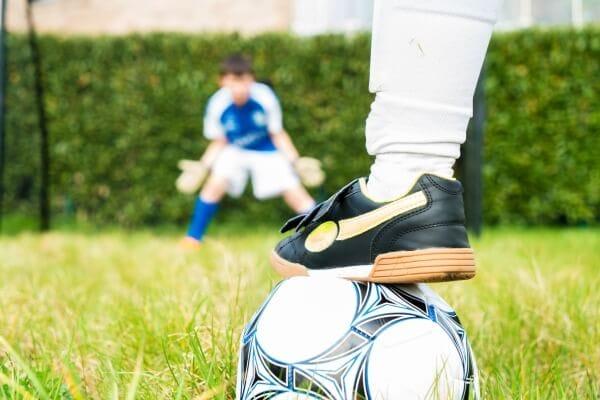 Image du produit New Sports But de football