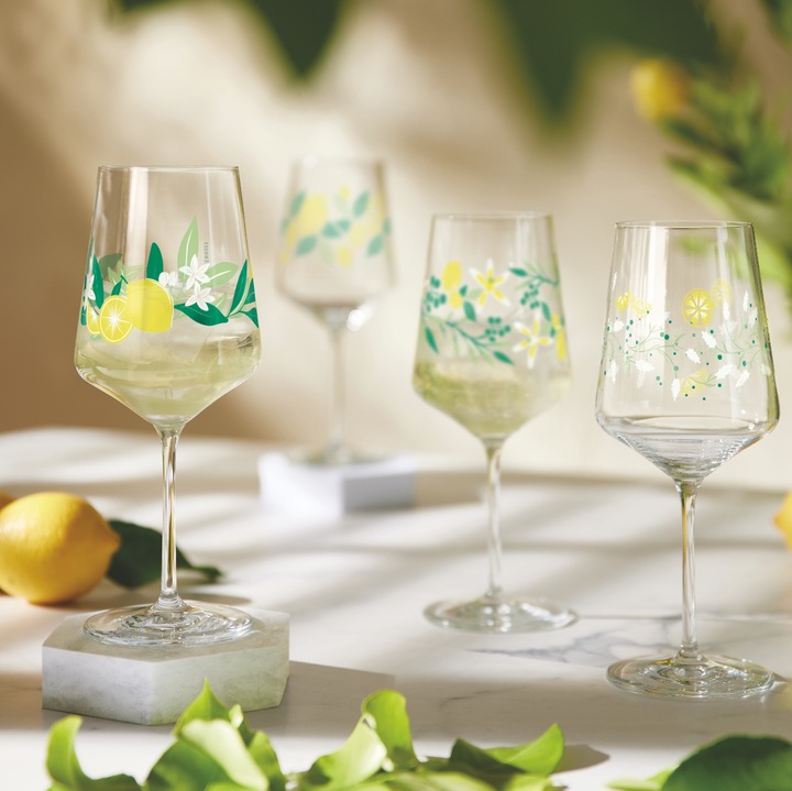 Image du produit Ritzenhoff Verre à apéritif SOMMERTAU F24 Limoncello Hugo Lot de 4 Contenu 544 ml chacun (5.44 dl, 4 x, Verres à apéritif)
