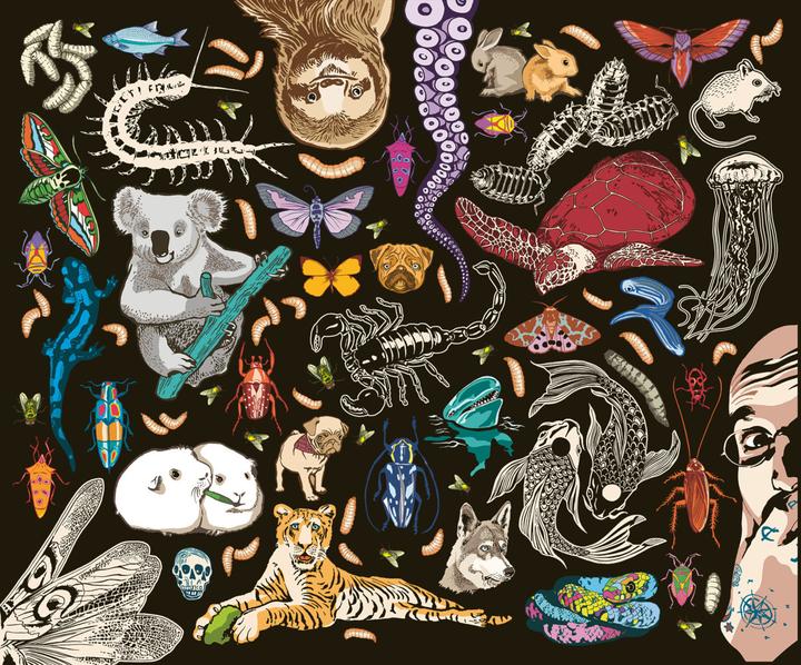 Produktbild Kat Menschiks und des Diplom-Biologen Doctor Rerum Medicinalium Mark Beneckes Illustrirtes (Deutsch, Kat Menschik, Mark Benecke, 2020)