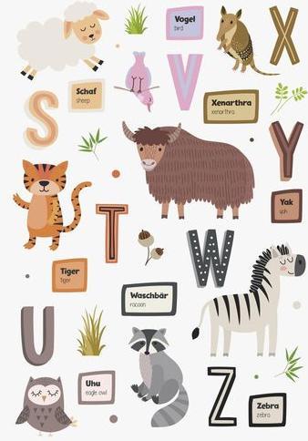 Image du produit Heyda Animaux/Alphabet Window Craft Set