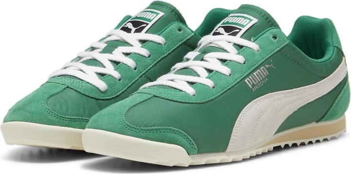 Archive, Green, Vapor Gray
