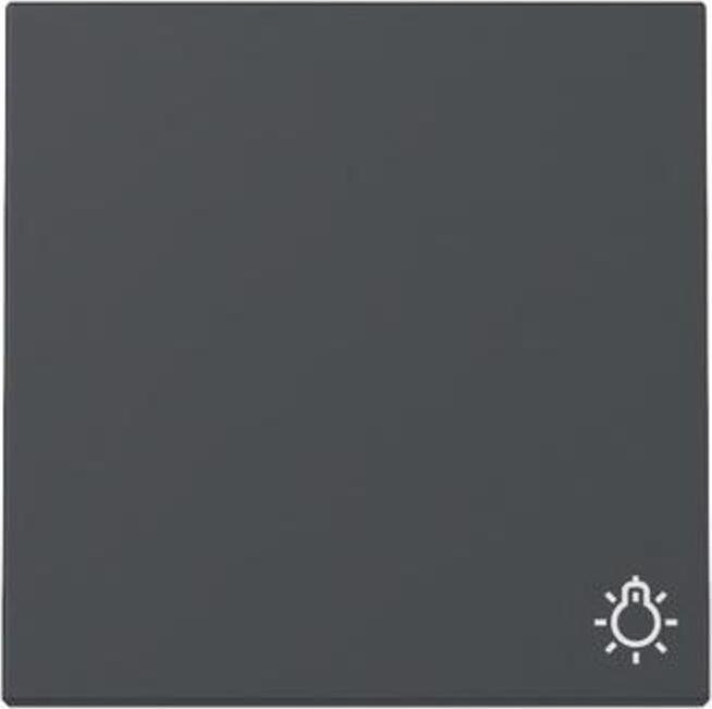 Produktbild Gira Wippe Symb. Licht