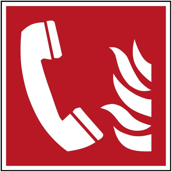 Actual product image Brady ISO safety sign - Fire alarm telephone