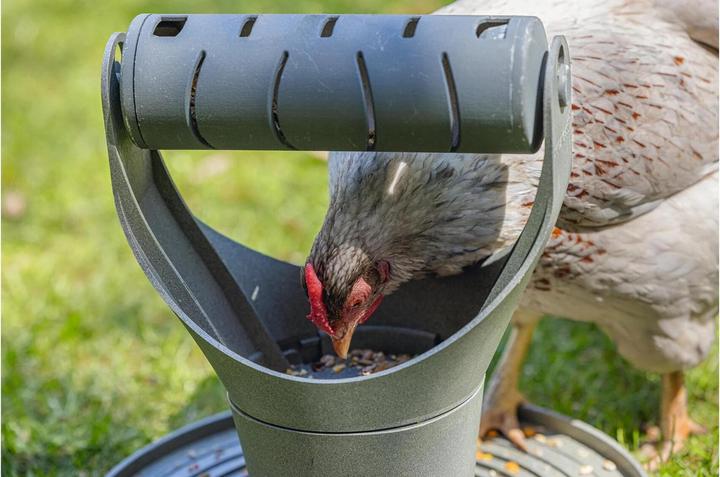 Actual product image Beeztees Feeding Station Chickens Play and Snack Tower, Grey