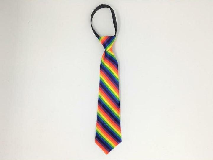 Actual product image Corbata Bandera Lgbt