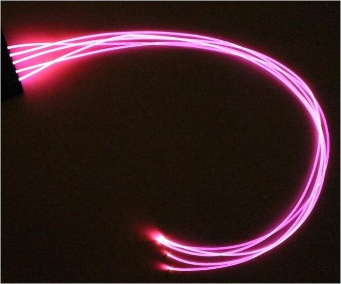Animal Light LED Schweifbeleuchtung Long 20-