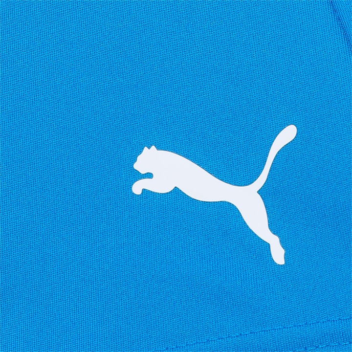 Actual product image Puma teamLIGA Shorts Jr-704931 (164)