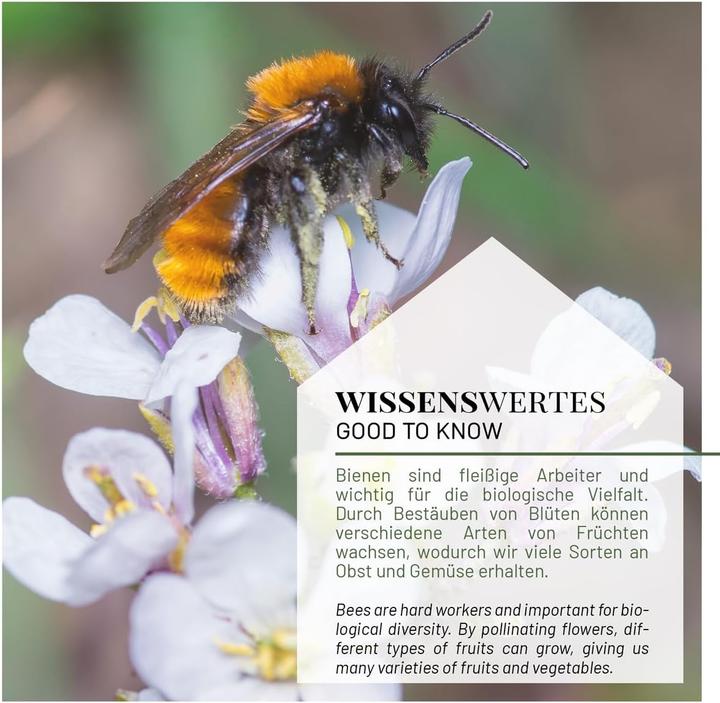 Immagine prodotto Wildlife home Hotel delle api (Ape, Api)