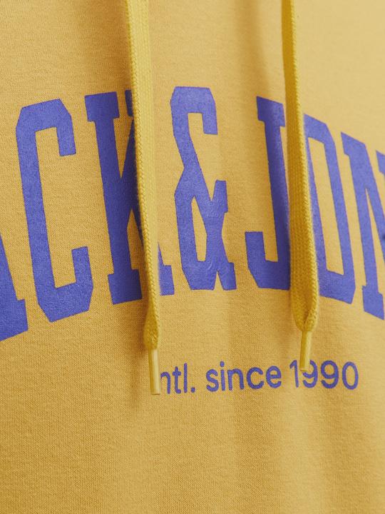 Produktbild Jack & Jones Hoodie (XXL)