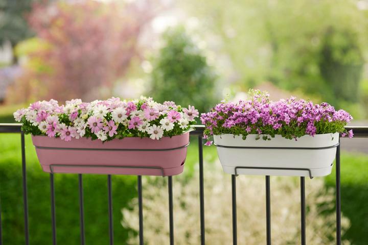 Image du produit Elho Vibia Campana (18.20 cm)