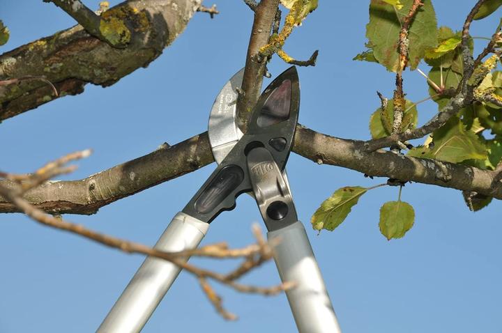 Actual product image Felco Two-hand lopping shears Single
