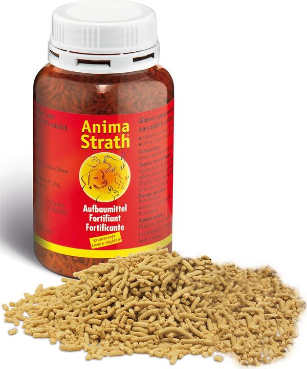 Actual product image Anima-Strath Granules (Senior, Adult, 1 pcs., 100 g)