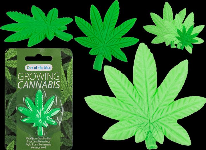 Immagine prodotto Out of the blue Coltivare foglie di cannabis