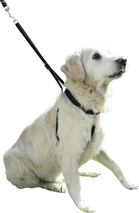 Image du produit Kerbl Harnais pour chien Maxi Leader