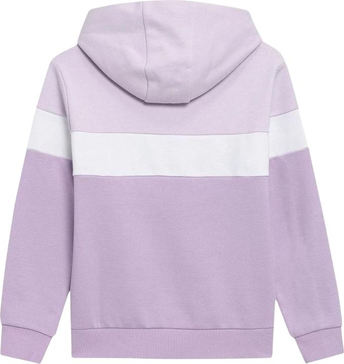 Produktbild 4F HJL22 JBLD002 Kapuzenpullover (122)