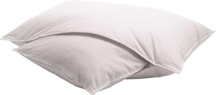 Immagine prodotto Billerbeck Casa Nature (50 x 70 cm)