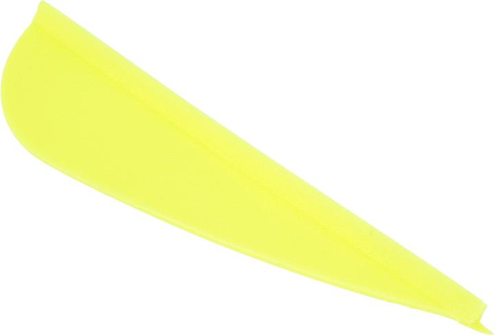 Actual product image Geologic Feather archery 12-pack